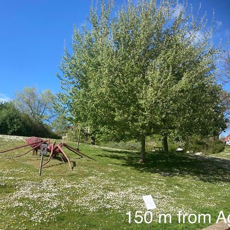 Appartamento Agora De Panne Esterno foto